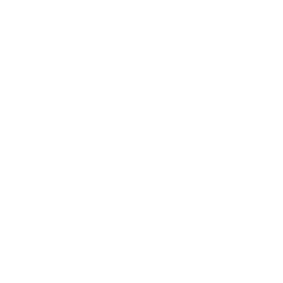 boiler (2)