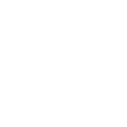 fireplace (2)
