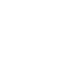 gas-stove (2)